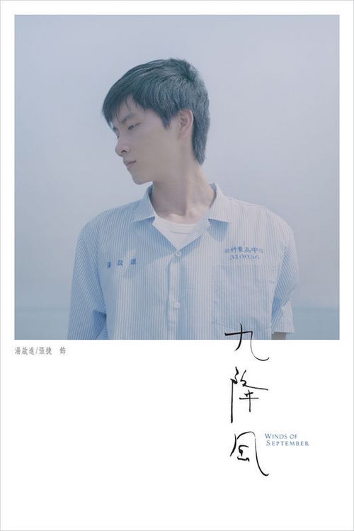 做假单身证明多少钱